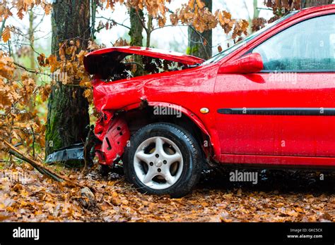 Shocking Collision: Car Smashes Through Ornamental Tree Set